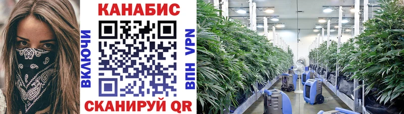 Купить наркотик аптеки Ужур Метадон  Кокаин  Гашиш  Мефедрон  Бошки Шишки  Alpha-PVP 