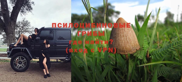 прущая мука Магас