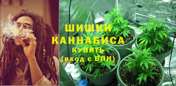 ПСИЛОЦИБИНОВЫЕ ГРИБЫ Алексеевка
