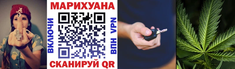 Бошки марихуана планчик  продажа наркотиков  Ужур 